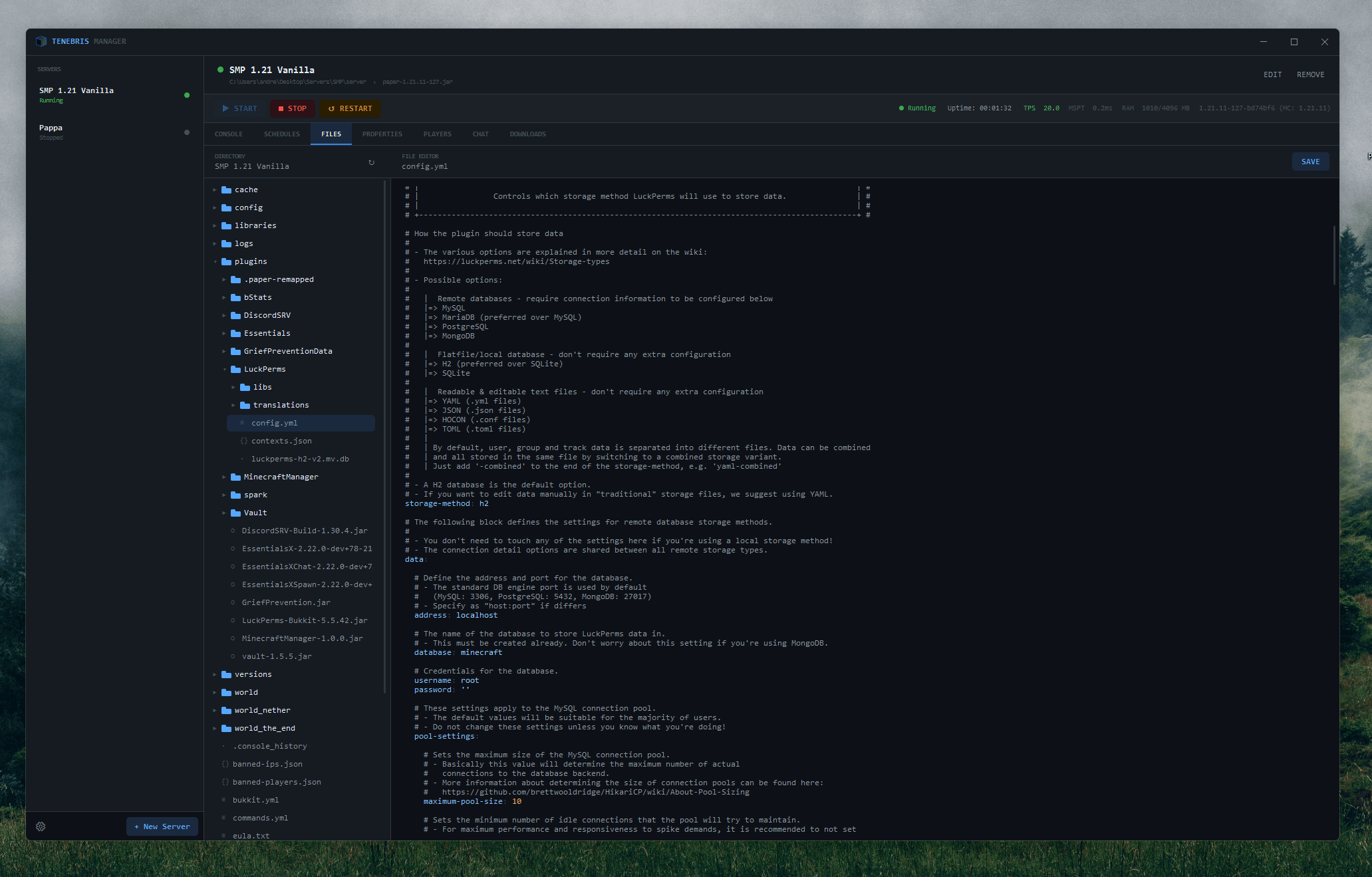 File explorer panel